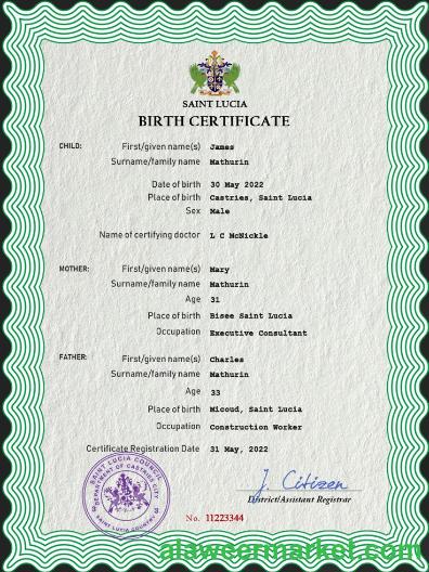 Saint Lucia vital record birth certificate PSD template